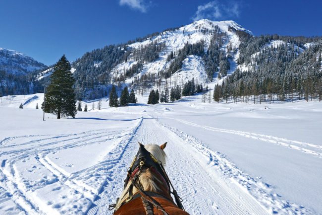 Pferdeschlittenfahrten - Winterurlaub in Radstadt, Salzburger Land